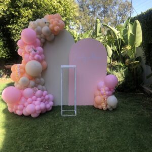 Lilly Backdrop with Balloon Garland