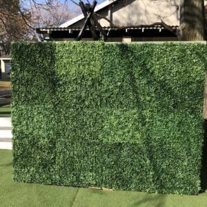 Green Wall