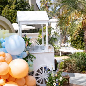 CocoeventsSmallCart