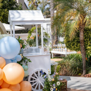 Small Candy Cart